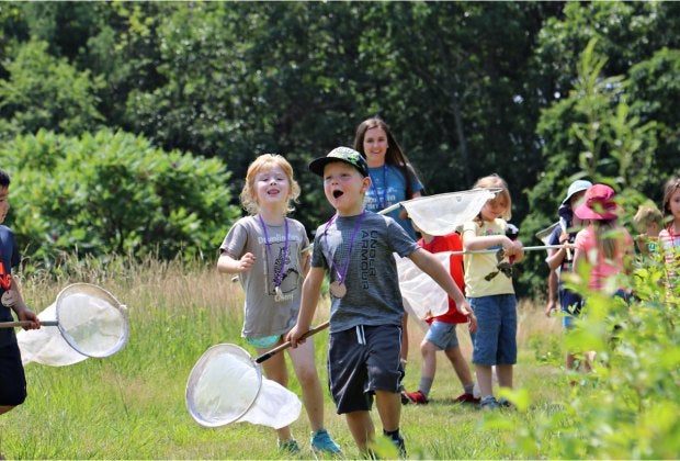 Catch butterflies and make friends with nature in Lincoln. Photo courtesy of Drumlin Farm Camp