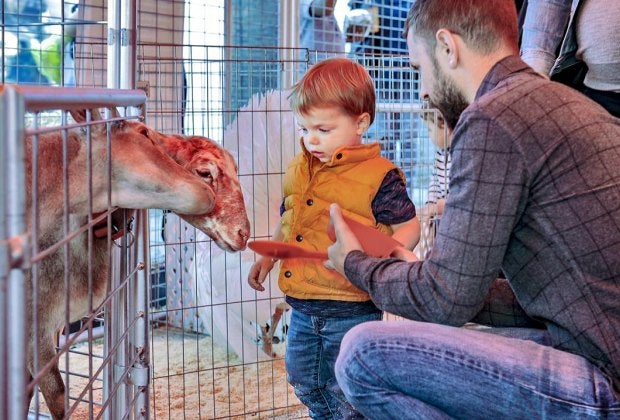 Photo courtesy of The Original Farmers Market 