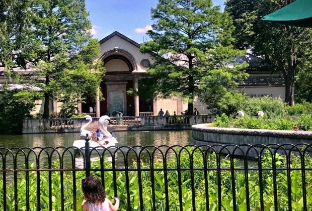Enjoying our view of the swan boats at the Philadelphia Zoo