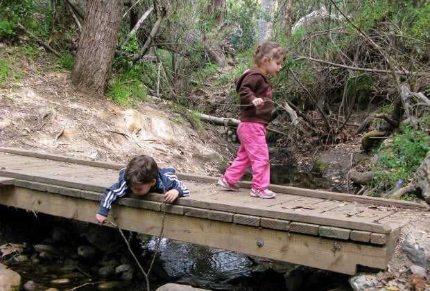 Hiking in LA means stunning vistas, hidden trails, babbling brooks, and wonderful wildlife all year.