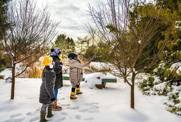 The Grounds For Sculpture welcomes visitors all winter long. Bruce Beasley, ‘Horizon II,’ 2006, bronze, 26 x 126 x 40 inches, 7/9, Courtesy of the Artist, © Artist or Artist's Estate. Photo by David Michael Howarth Photography