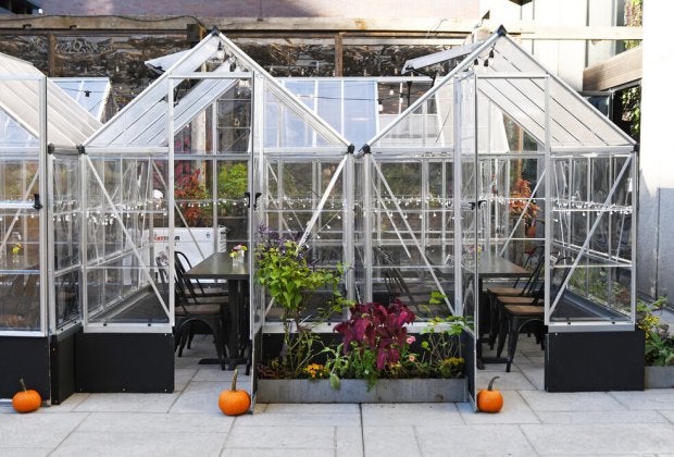 Harper's Garden in Center City offers "greenhouse" dining. Photo courtesy of Harpers Garden