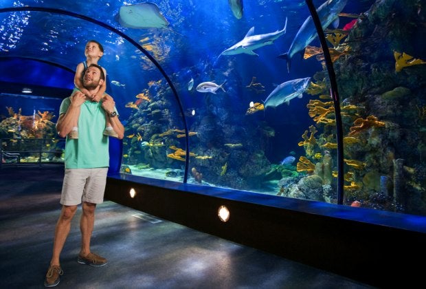 Moody Gardens has both indoor and outdoor activities. Photo courtesy of Visit Galveston