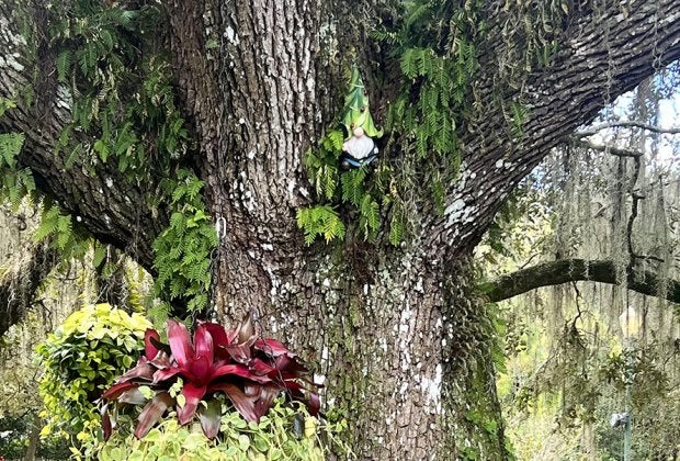 Enjoy holiday blooms and a gnome scavenger hunt throughout Leu Gardens during its annual holiday event, which kicks off this weekend. Photo by author