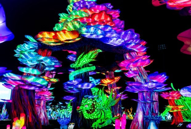The night glows at Tianyu Lights Festival. Photo courtesy Tianyu Lights Festival