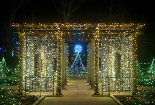 Night Lights: Dazzling Gardens at New England Botanic Garden by Troy B. Thompson Photography