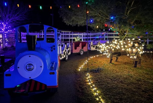All-aboard for holiday fun at during the Brookhollow Barnyard Under the Stars. Photo courtesy of Brookhollow