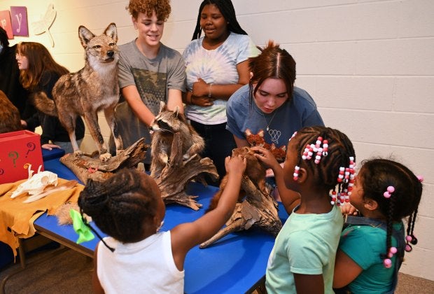 Enjoy hands-on fun at the New York State Museum. Photo courtesy of the New York State Museum