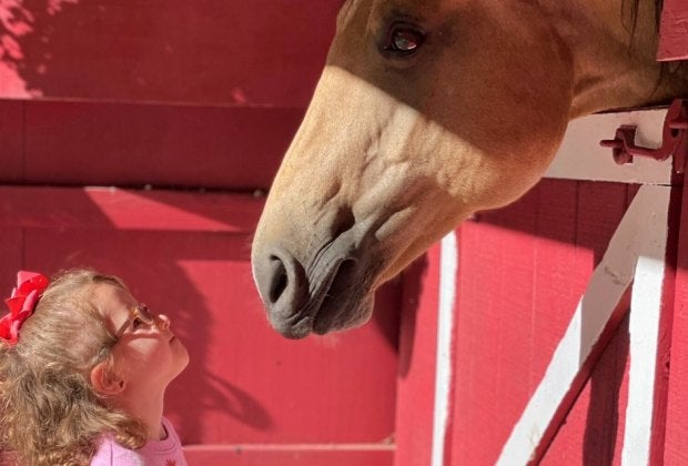 Sensory Staples lets kids get close to a variety of farm animals, including its friendly horses. Photo courtesy of Sensory Stables