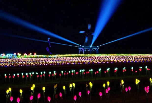 Holland Ridge Farms blooms with tulips in all seasons thanks to its holiday light show. Photo courtesy of the farm
