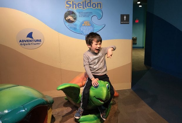 No trip to Adventure Aquarium is complete without a photo op with the animal statues 