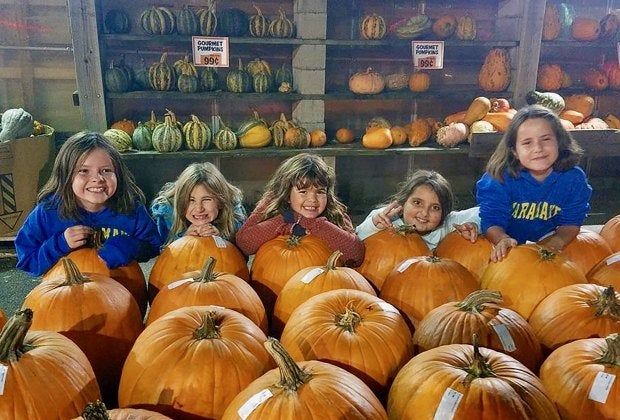 Photo courtesy of Ally Noel.