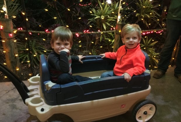 Seeing the displays at Zoo Lights/Photo by Carrie Taylor