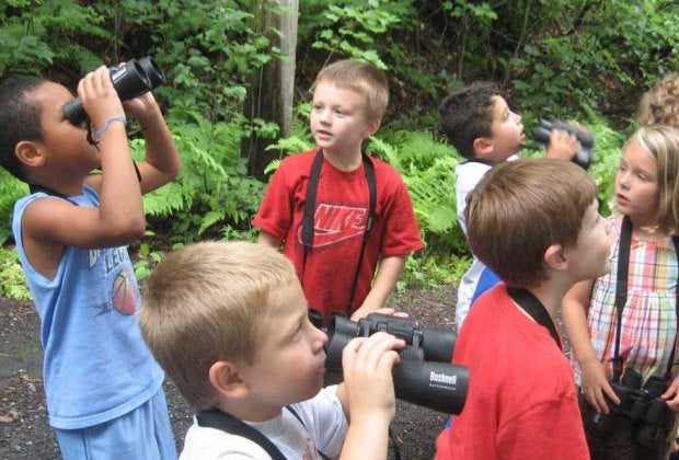 Children look to the trees at Indian Rock Nature Preserve. Photo courtesy of Environmental Learning Centers of Connecticut