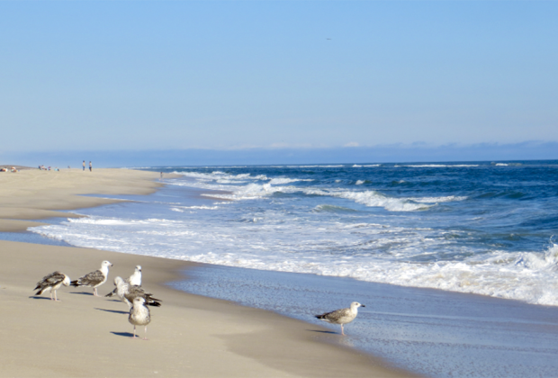The beaches in Southampton, NY, are some of the finest beaches in the country. 