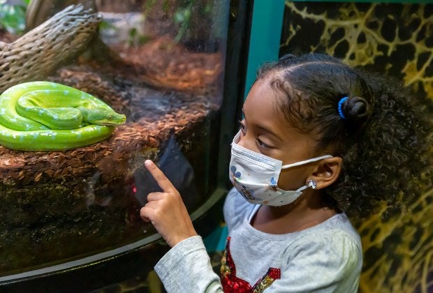 Bring your preschoolers to the Liberty Science Center every Thursday and Friday for Junior Days. Photo courtesy of LSC