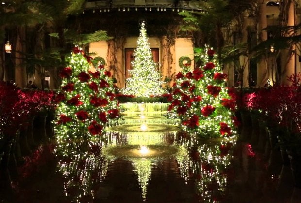 Photo courtesy of Longwood Gardens