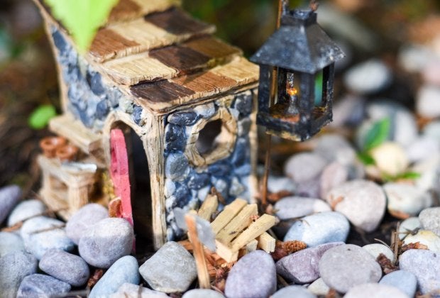 Make a fairy garden! Photo by Molly Triplett via Unsplash