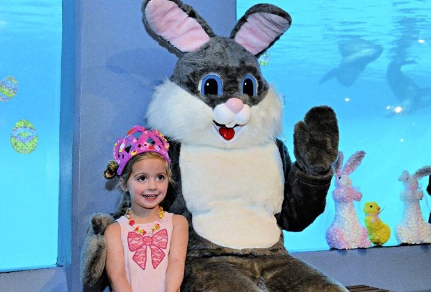 Breakfast followed by a photo op with the Easter Bunny. Photo courtesy of Mystic Aquarium