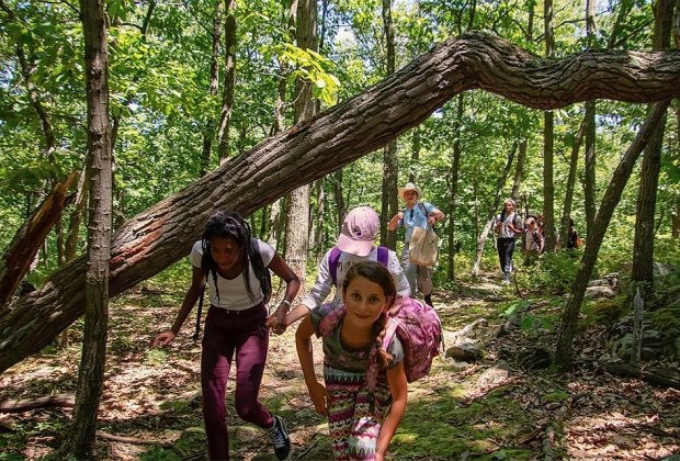 The Nature Place Day Camp is one of several that still have openings for summer 2019! Photo courtesy of the camp