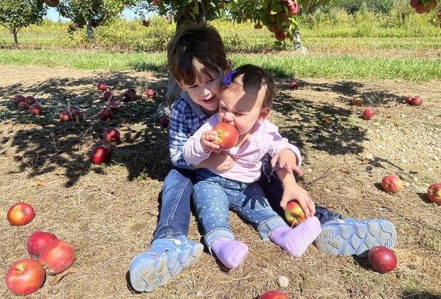 Take a bite out of the large, juicy apples at Lewin Farms. Photo by Gina Massaro