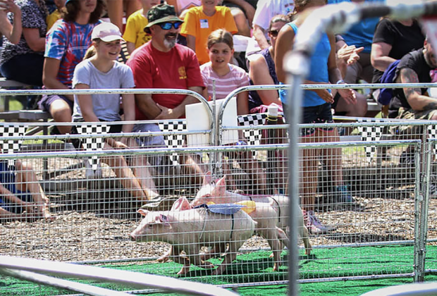 Enjoy loads of entertainment, including a petting zoo and pig races during the New Jersey State Fair. Photo courtesy of the NJ State Fair