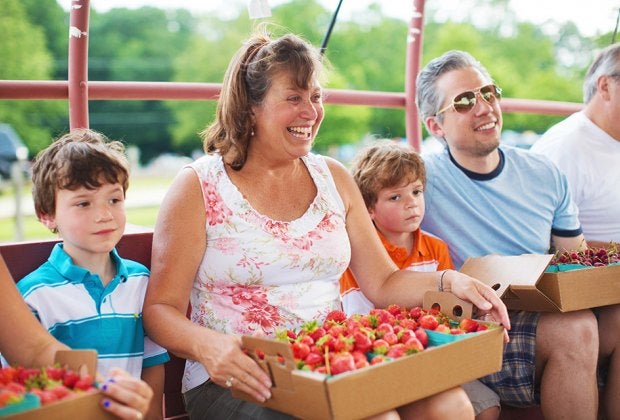 Pick some delicious, ripe strawberries at Johnson's Corner Farm in Medford this spring. Photo courtesy of the farm