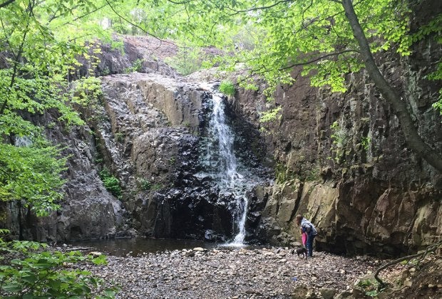 Hike 1.6 miles to reach the dramatic beauty of South Mountain Reservation's Hemlock Falls. Photo by Rose Gordon Sala