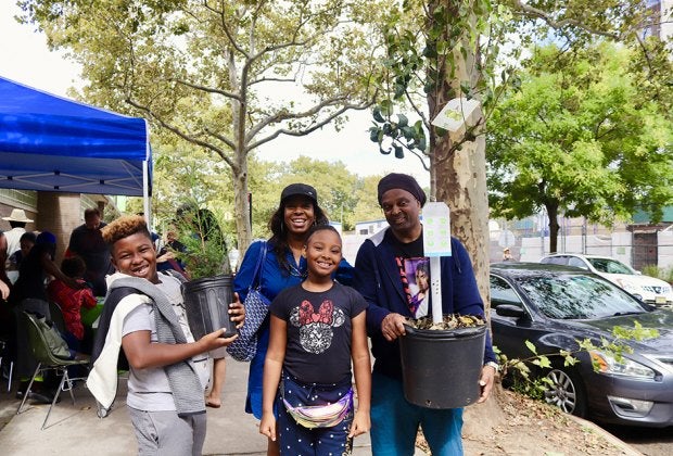 Register now to claim a FREE tree from NYRP's annual tree giveaway program, which returns after a pandemic-induced hiatus.