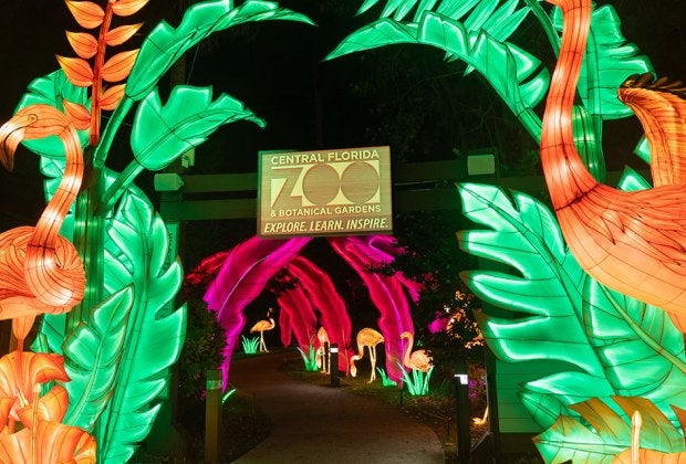 The Central Florida Zoo & Botanical Gardens transforms into the Asian Lantern Festival: Into the Wild at night! Photo courtesy of the zoo