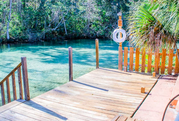 Swim and paddle with adorable manatees during your stay at the aptly-named Manatee Cove Apartment. Photo courtesy of VRBO