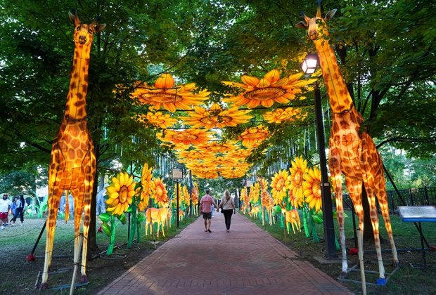The Philadelphia Chinese Lantern Festival is open at Franklin Square through August 31! Photo by H. Daluisio/Visit Philadelphia