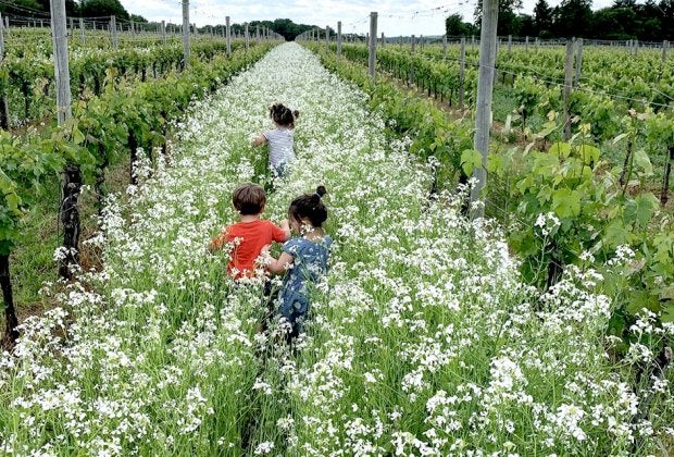 Explore the grounds at Penns Woods Winery. Photo courtesy the winery