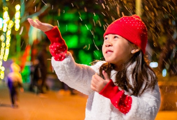 See the snowfall on New Year's Eve! Photo courtesy of Gilroy Gardens