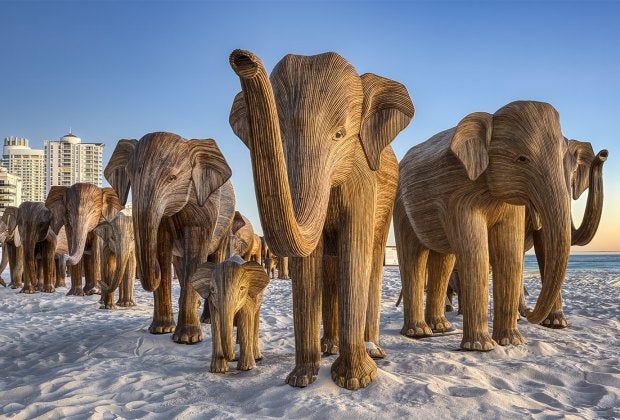 The Great Elephant Migration in Its Miami Installation. Photo by Lee Smith, Courtesy of The Great Elephant Migration.