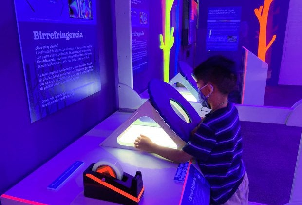 The polarizer and tape 