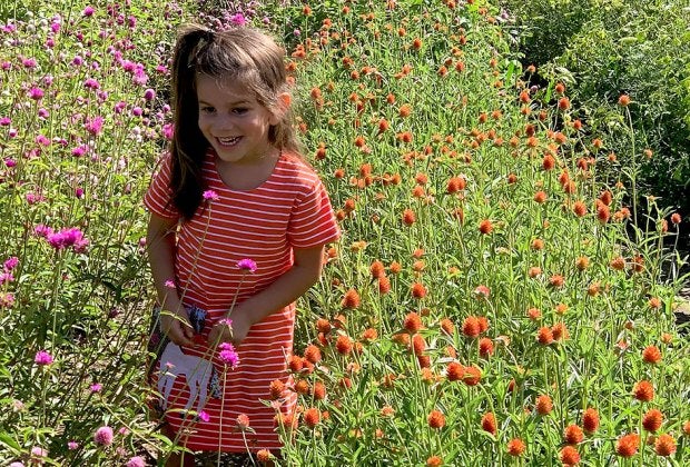 Bring the family to pick buckets of flowers at Brittany Hollow Farms. Photo courtesy of the farm