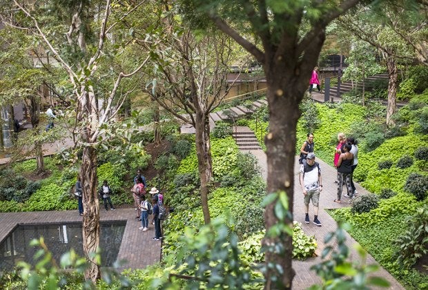 The Ford Foundation Atrium houses a spectacular, indoor, secret garden to explore. Photo courtesy of the foundation