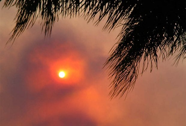 Our hearts are with those affected by the wildfires in LA. ​Photo by Alex Miroshnichenko, via Flickr 2.0