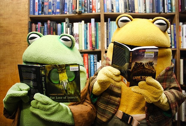 Frog & Toad visit the Strand's storytime.
