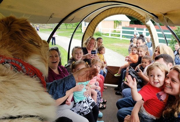 Take a horse-drawn wagon ride at Sweet Bee's Honey Festival in Monroe. Photo courtesy of the festival