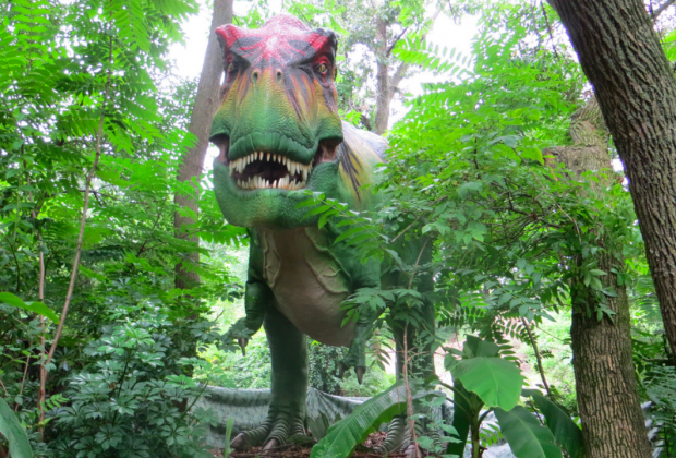 Look out for the T-Rex at the zoo this summer! Photo courtesy of Renee Gillett via Flickr
