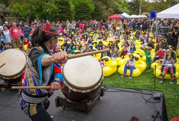 Sakura Matsuri is celebrated at the Brooklyn Botanic Garden. Photo by Julie Markes for BBG