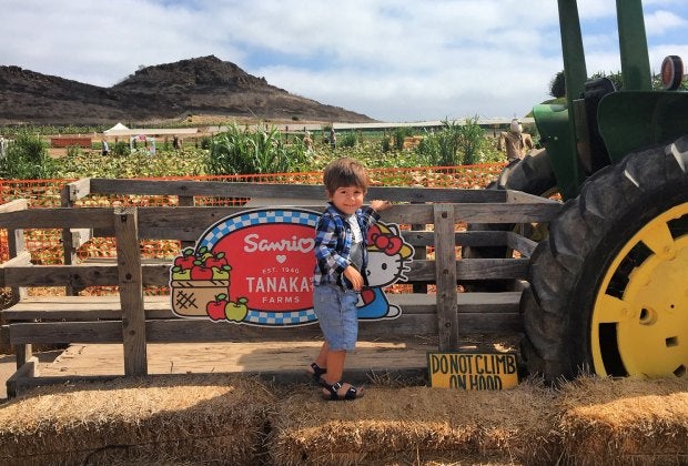 Posing with giant tractors