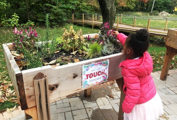 Kids are encouraged to get hands-on on the trail.