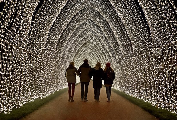 Winter Cathedral is but one of the stunning sights you'll encounter at Lightscape, the new installation at the Brooklyn Botanic Garden. Photo by Richard Haughton for Sony Music