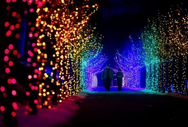 Make the season bright with best holiday lights drive-thrus and Christmas light shows in Boston! Naumkeag Winterlights photo by Stephanie Zollshan Photography, courtesy of The Trustees of Reservations 