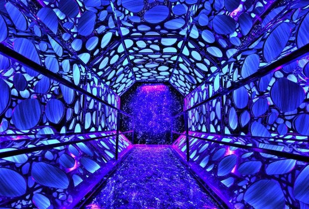 The worm hole tunnel. Photo by Christopher Brielmaier courtesy of Seismique