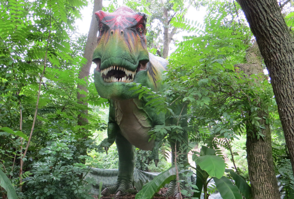 Look out for the T-Rex at the zoo this summer! Photo courtesy of Renee Gillett via Flickr