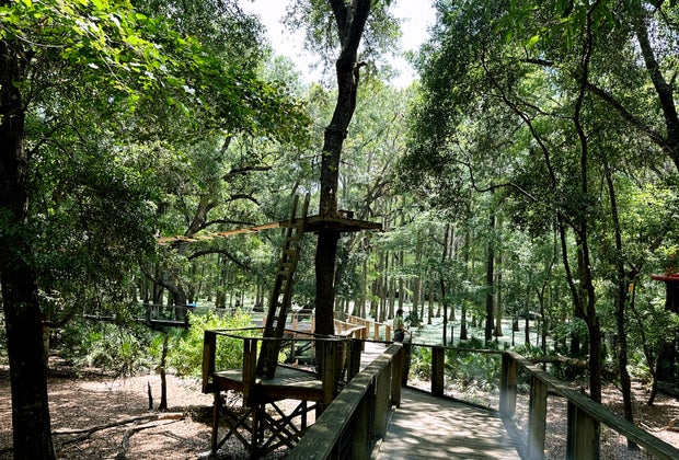 Things to do in Tallahasse: Explore the Tallahassee Museum from the treetops